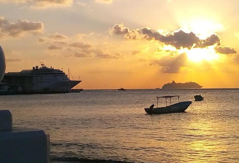 בית מלון כפרי Sun Suites Cozumel