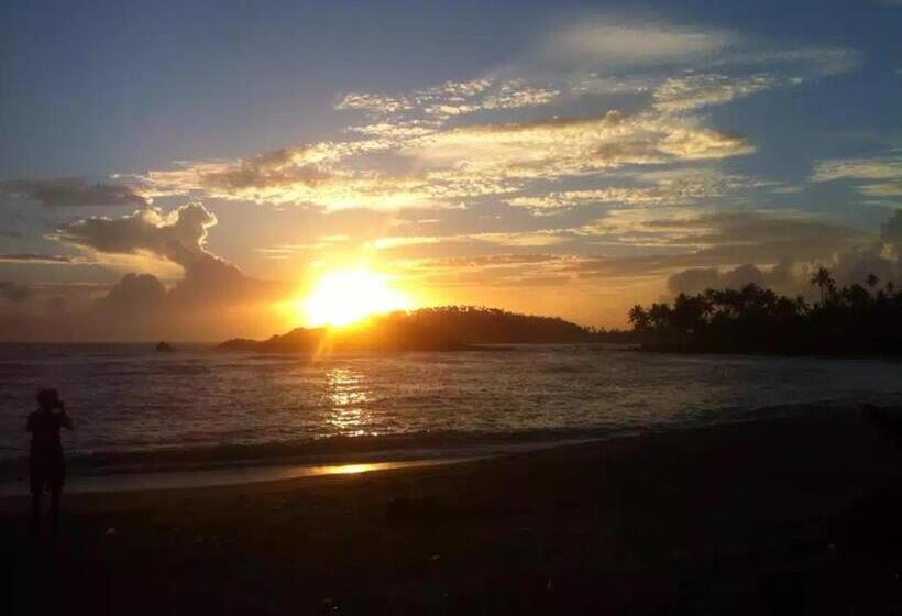 리조트 Turtle Reef Guest