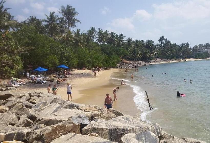 리조트 Turtle Reef Guest