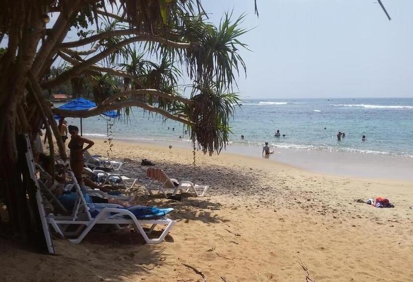 리조트 Turtle Reef Guest