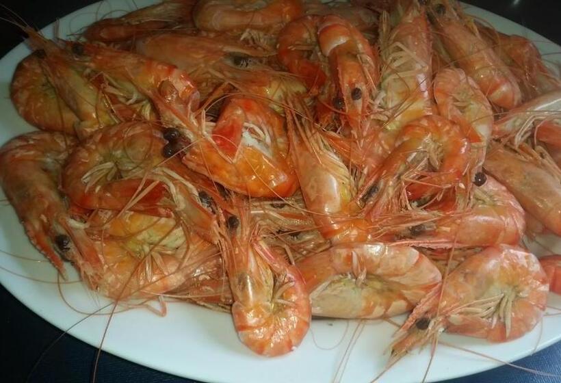 리조트 Turtle Reef Guest