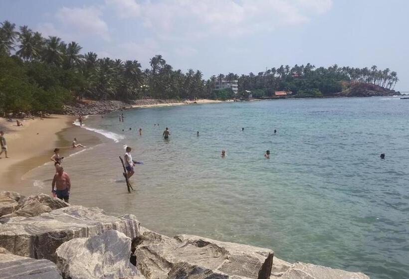 리조트 Turtle Reef Guest