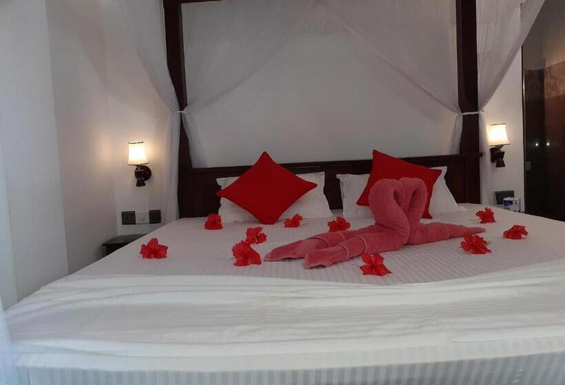 리조트 Turtle Reef Guest