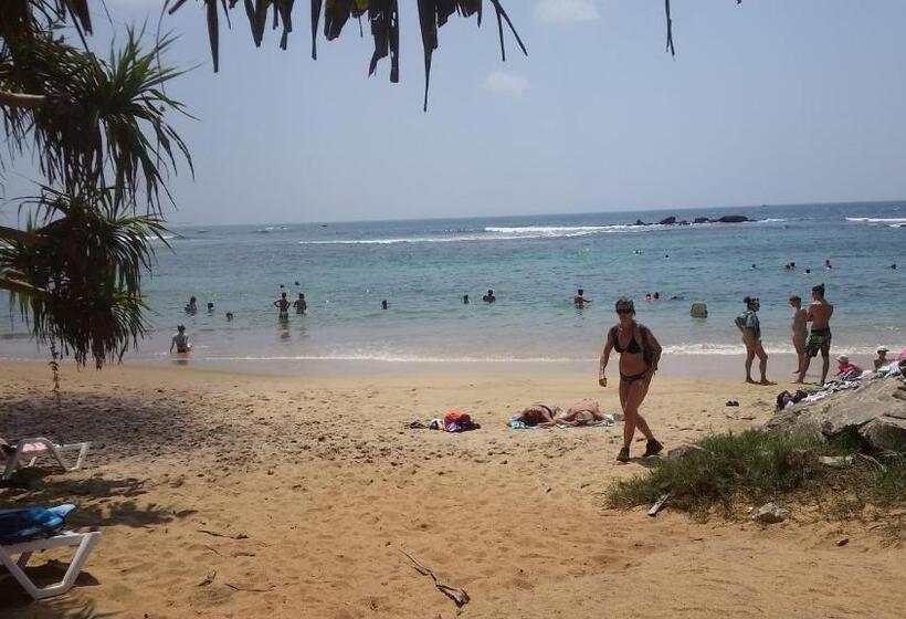 리조트 Turtle Reef Guest