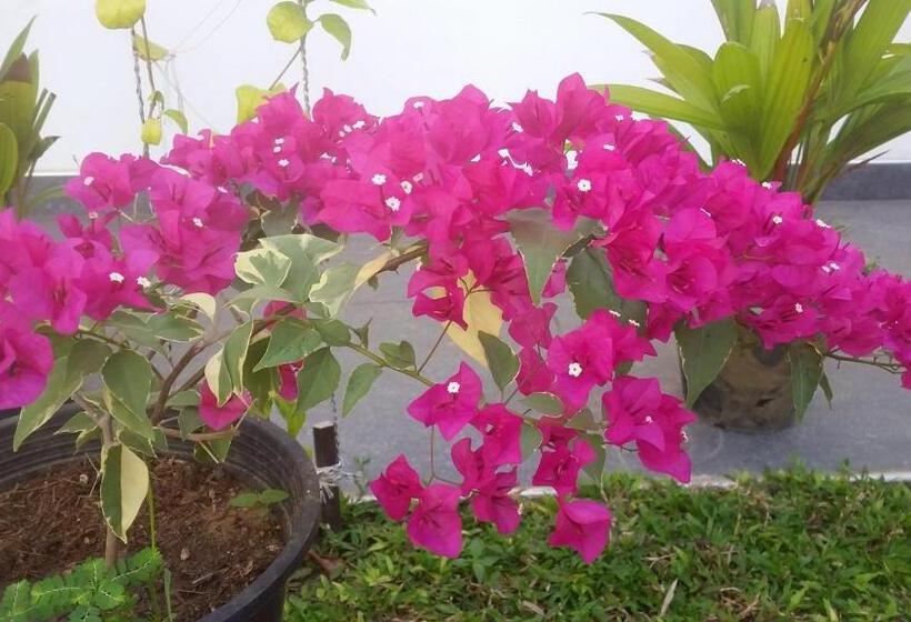 리조트 Turtle Reef Guest