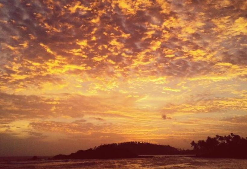 리조트 Turtle Reef Guest