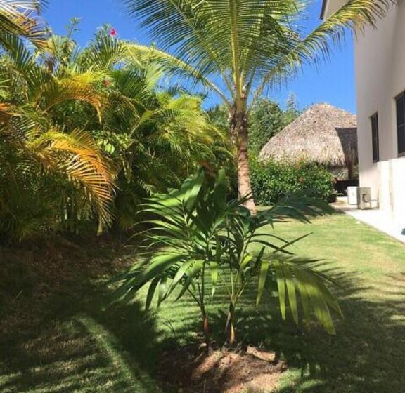 تختخواب و صبحانه Cocotal Bavaro 460