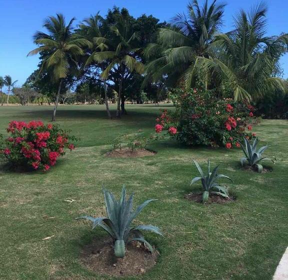 تختخواب و صبحانه Cocotal Bavaro 460