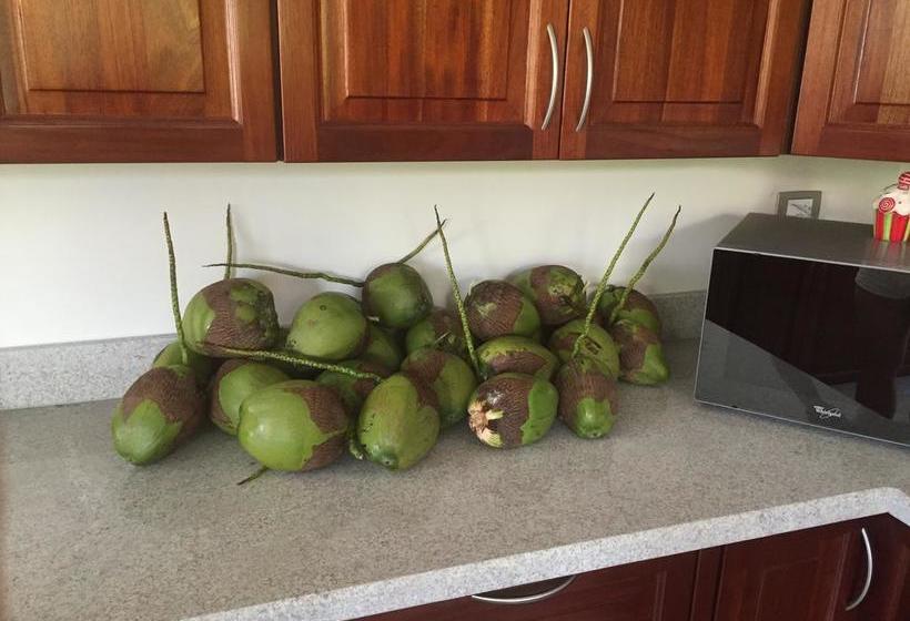 تختخواب و صبحانه Cocotal Bavaro 460