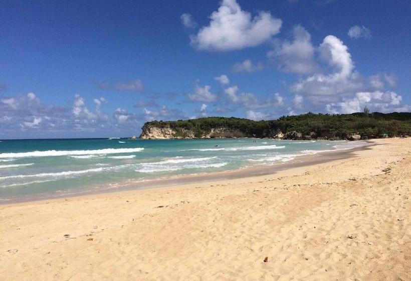 تختخواب و صبحانه Cocotal Bavaro 460