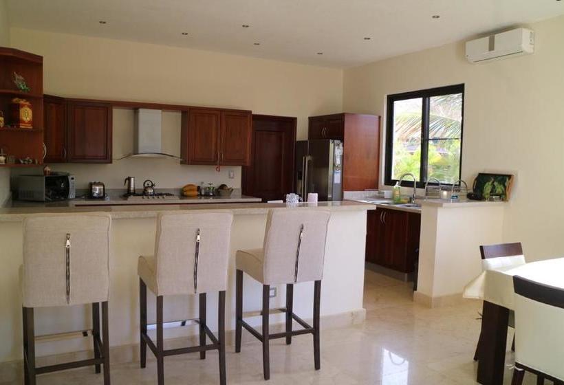 تختخواب و صبحانه Cocotal Bavaro 460