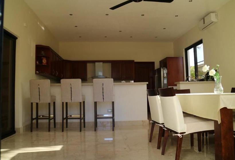 تختخواب و صبحانه Cocotal Bavaro 460