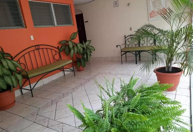 Green Monkey Hostel