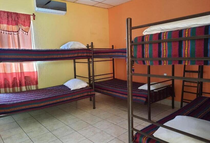 Green Monkey Hostel