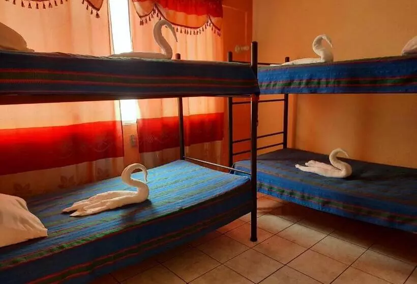Green Monkey Hostel