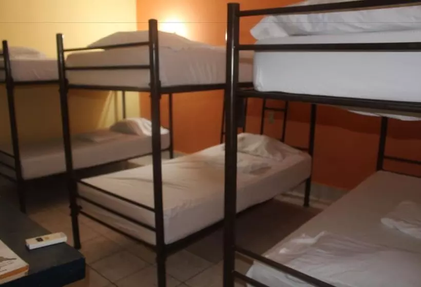 Green Monkey Hostel