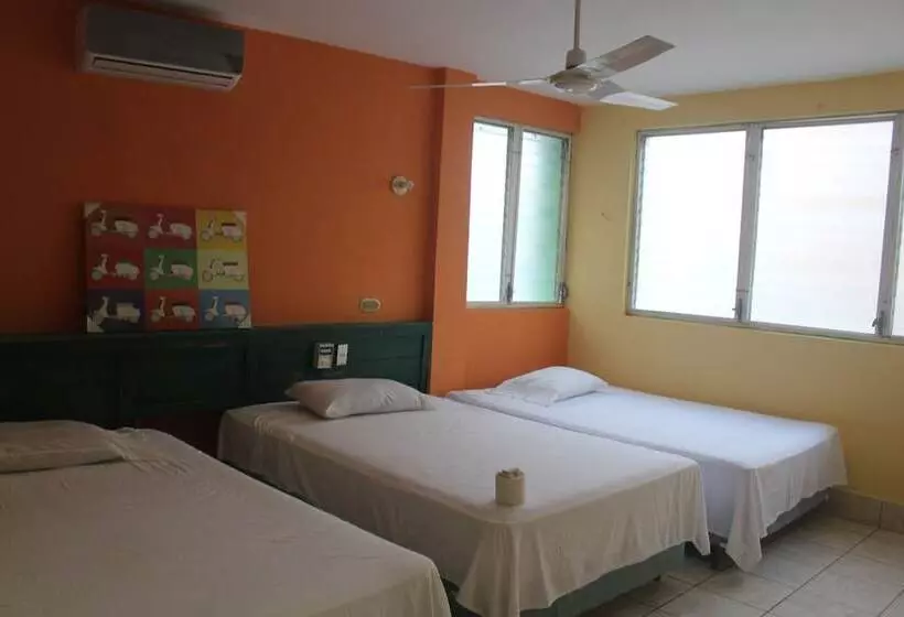 Green Monkey Hostel