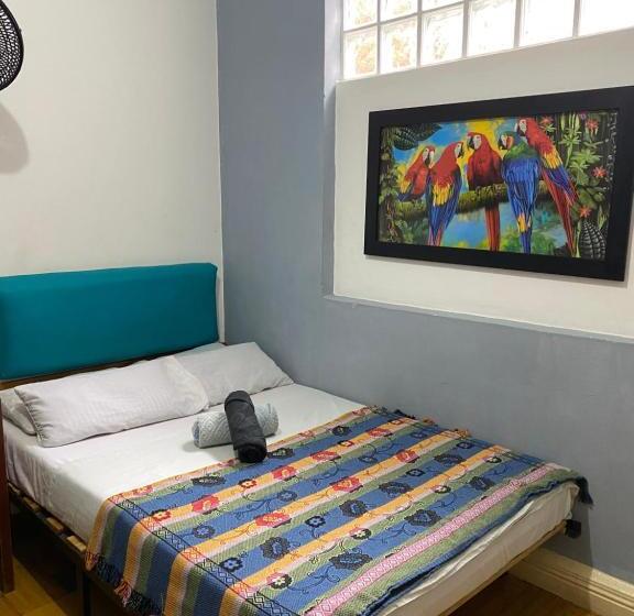Havana Hostel Cali & Dance School
