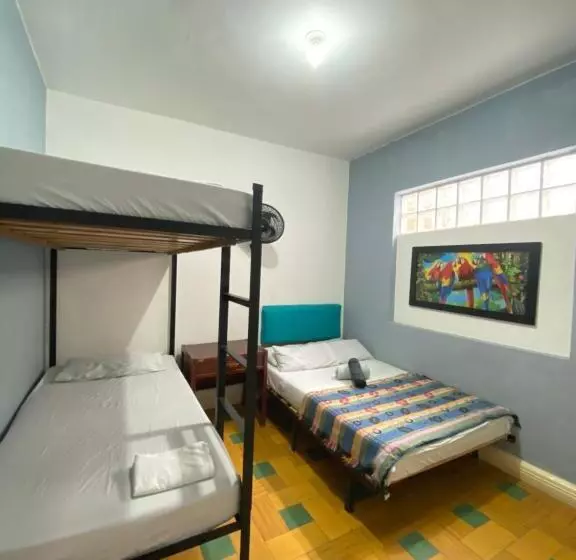 Havana Hostel Cali & Dance School