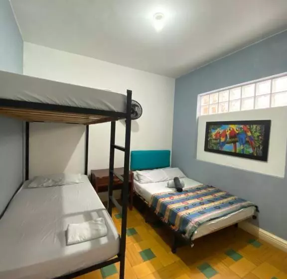 Havana Hostel Cali & Dance School