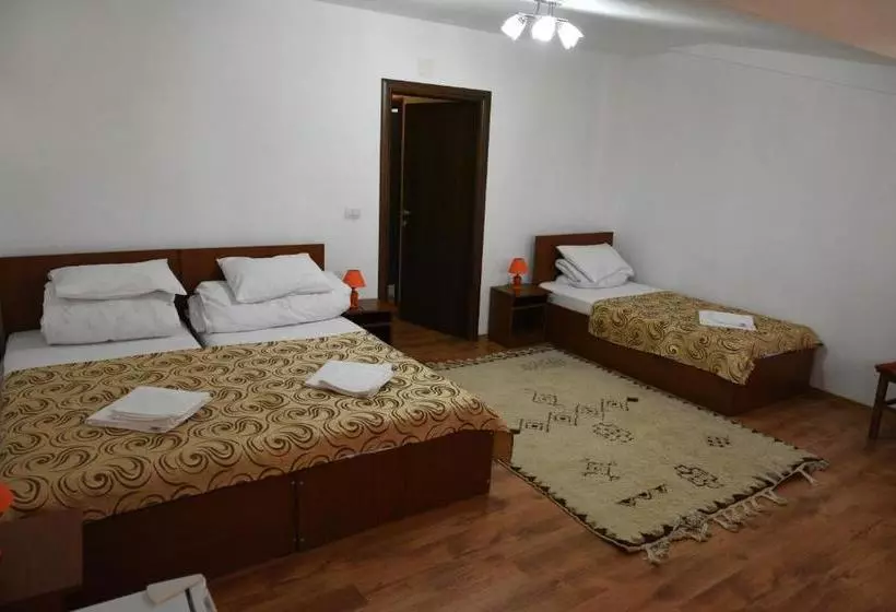 Hostel Ruxandra