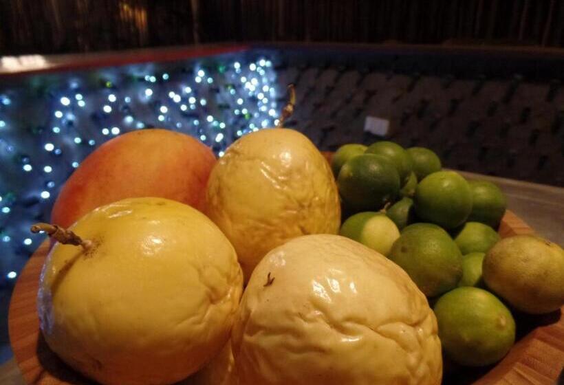 The Upcycled Hostel Huacachina