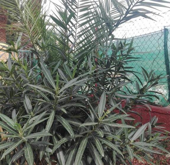 Bed and Breakfast Finca Bella Vista