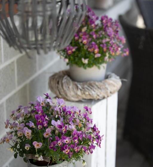 Bed and Breakfast Studio Living..