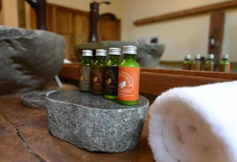 Desa Alamanis Resort Villa