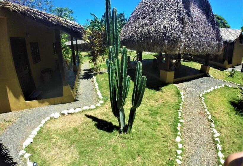 فندق Las Hamacas