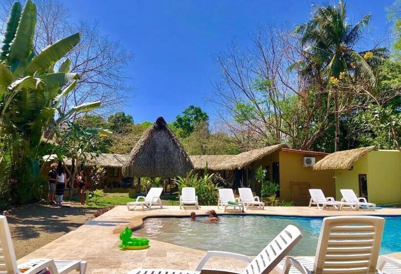 فندق Las Hamacas