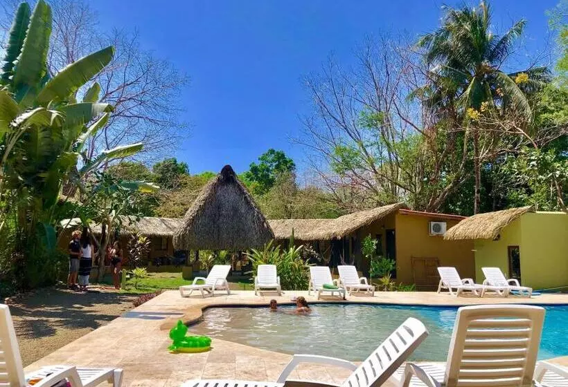 ホテル Las Hamacas