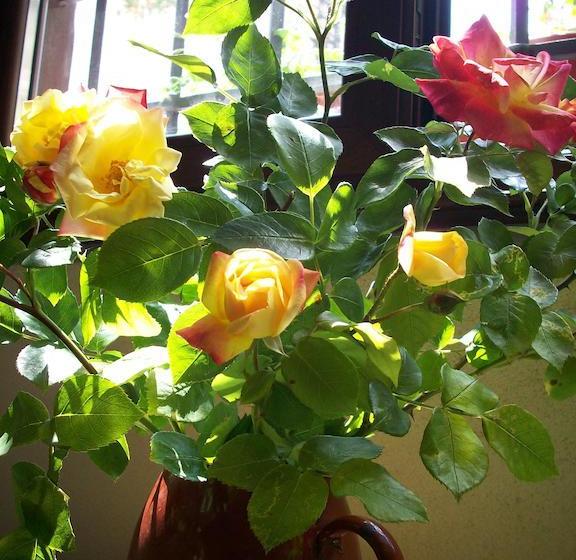 تختخواب و صبحانه Casa Rural La Llave