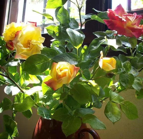 Bed and Breakfast Casa Rural La Llave