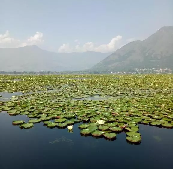 تختخواب و صبحانه House Boat New Pala Palace