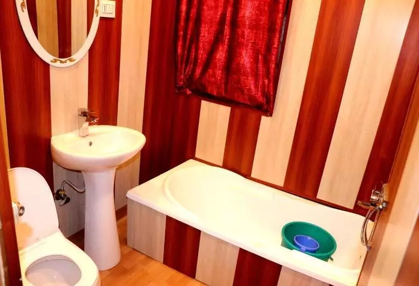 تختخواب و صبحانه House Boat New Pala Palace