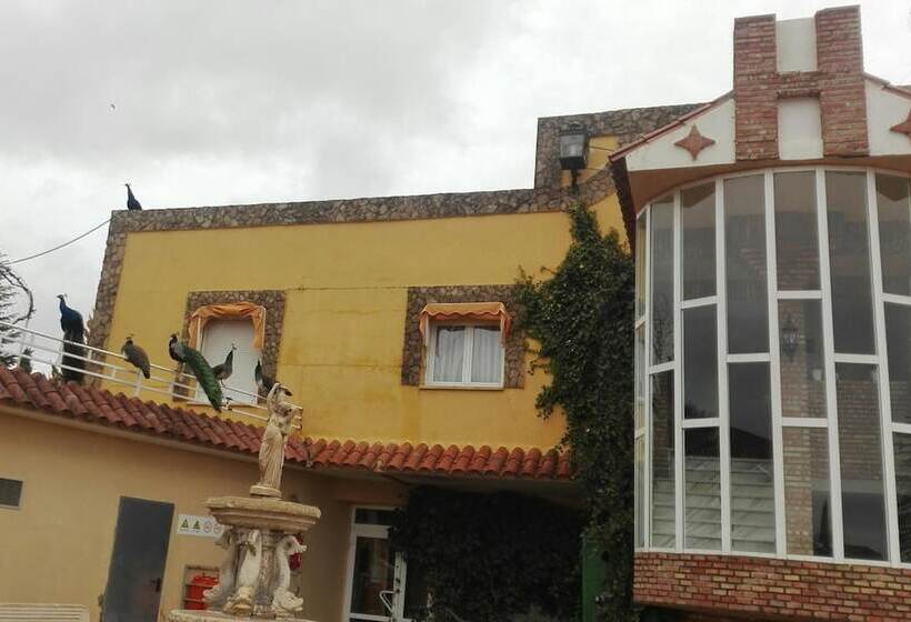 Отель Arcojalon