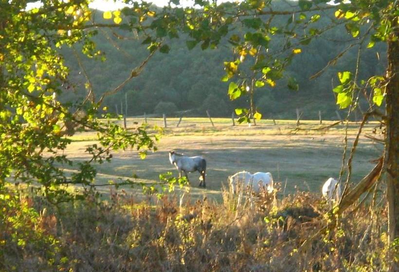 בית מלון כפרי La Pradera De Marta