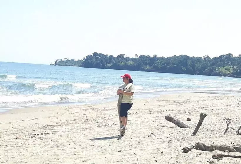 ホテル Rainforest Yasmin