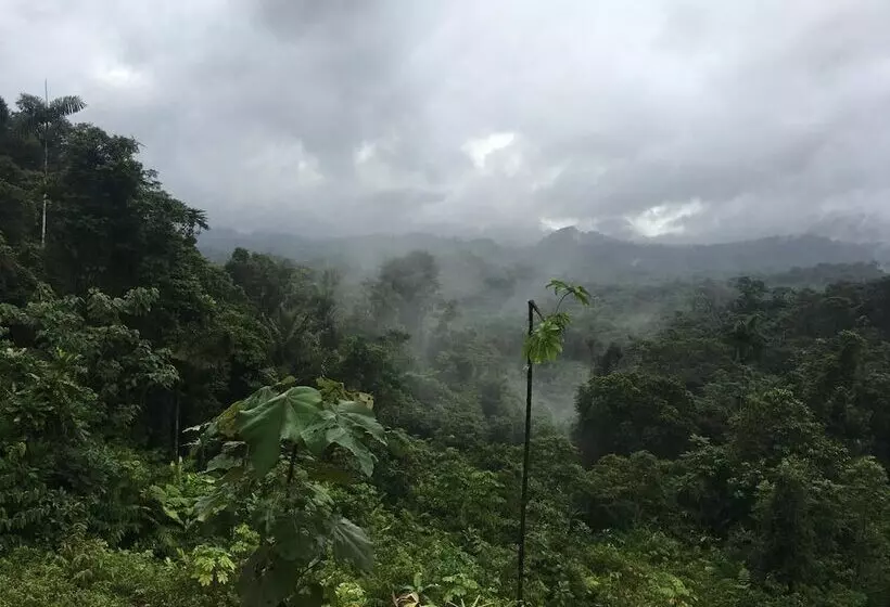 ホテル Rainforest Yasmin