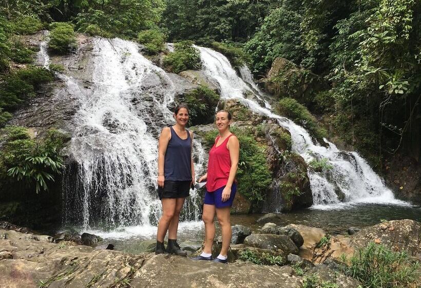 فندق Rainforest Yasmin