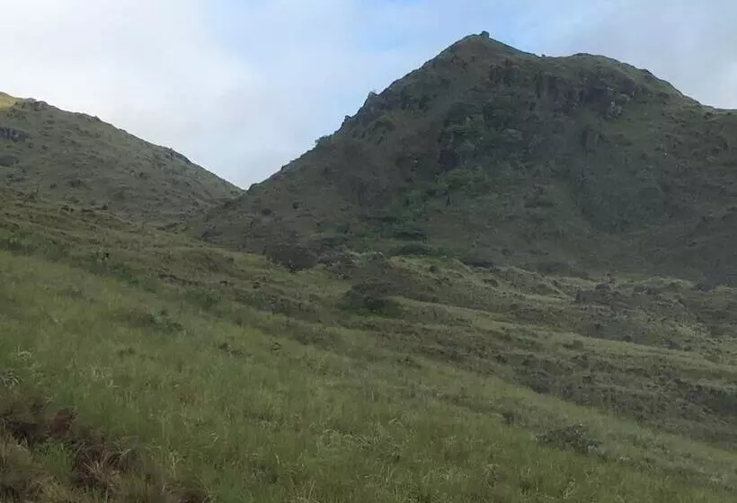 ホテル Rainforest Yasmin