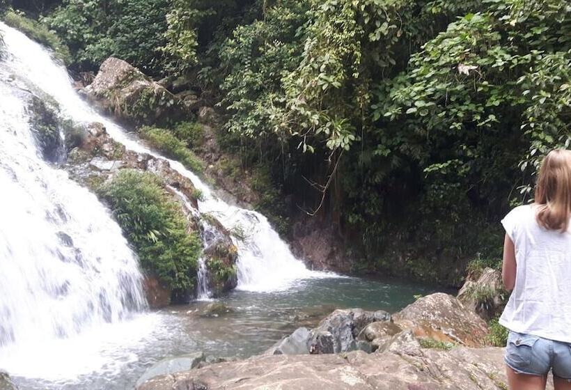 فندق Rainforest Yasmin