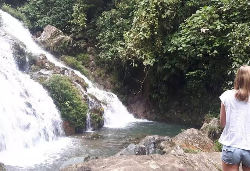 ホテル Rainforest Yasmin