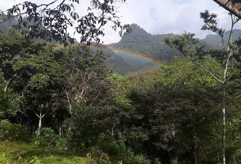 فندق Rainforest Yasmin