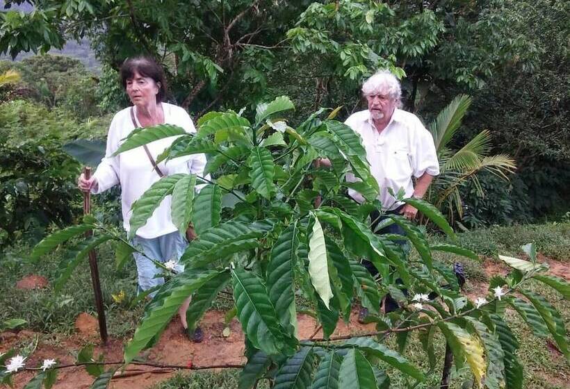 فندق Rainforest Yasmin