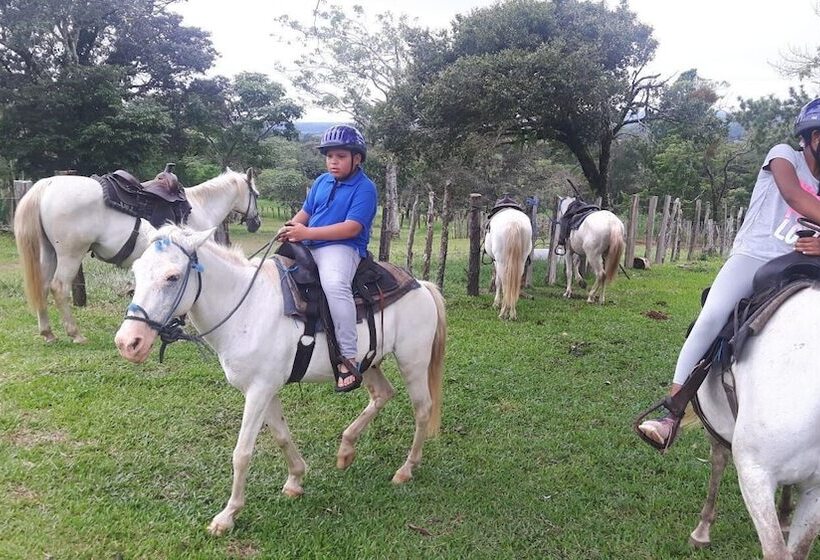 فندق Rainforest Yasmin