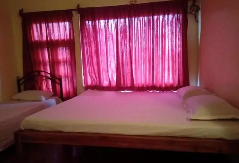 ホテル Satya Anand Cottage Pure Veg And Non Alcoholic