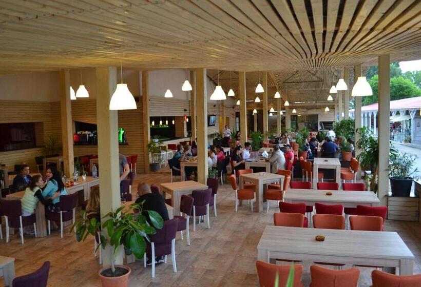 هاستل Vila Dvg Costinesti