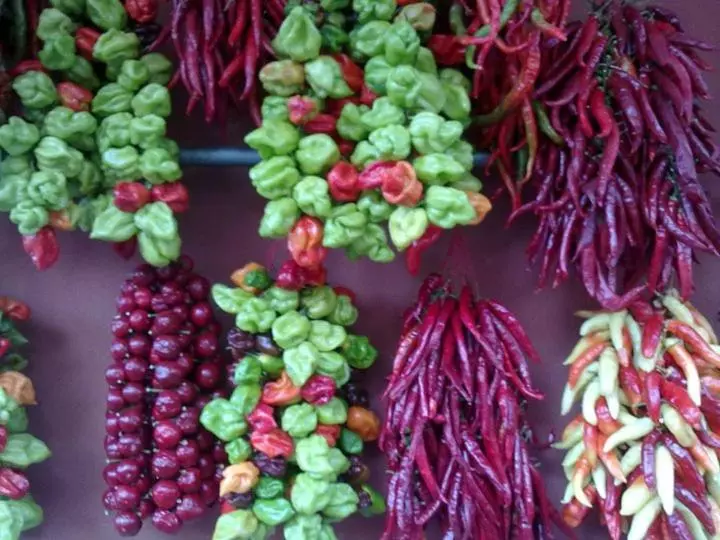 B&b Dei Fiori